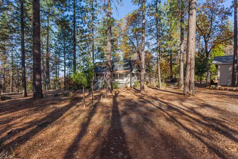 30206 Whitmore Rd, Whitmore, CA 96096 photo 45