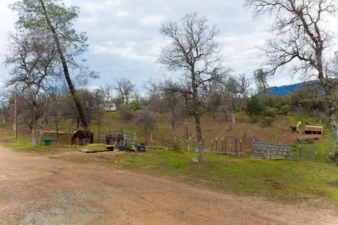 21560 Squaw Grass Trl, Redding, CA 96003 photo 22