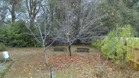 12369 Lake Blvd, Redding, CA 96003 photo 9