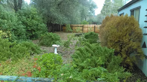 12369 Lake Blvd, Redding, CA 96003 photo 6