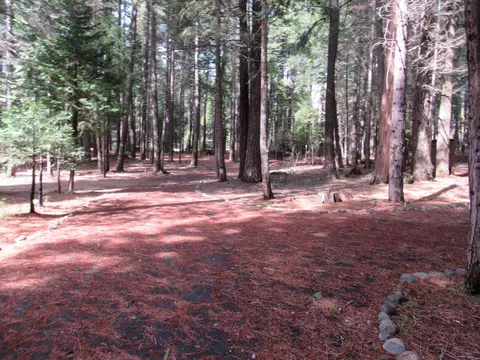 8657 Lake Mccumber, Shingletown, CA 96088 photo 46