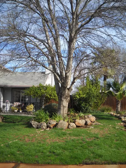 426 Alamine Dr, Redding, CA 96003 photo 5