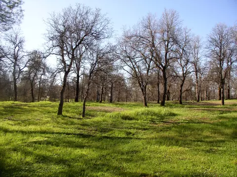 12490 Old Oregon Trl, Redding, CA 96003 photo 14