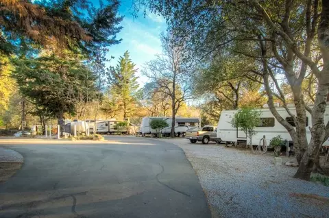 15215 Fawndale, Redding, CA 96003 photo 18