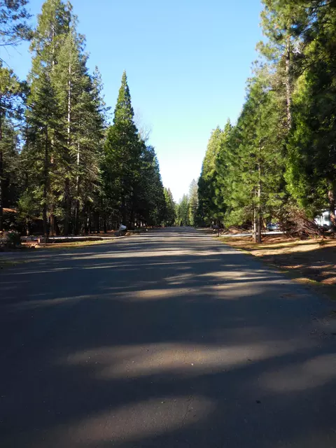 30970 Thumper Dr, Shingletown, CA 96088 photo 45