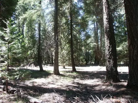 27 Amber Way, Shingletown, CA 96088 photo 1
