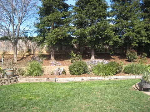 2852 Salmonberry Dr, Redding, CA 96003 photo 22