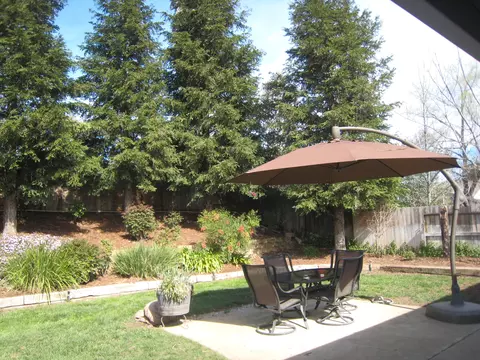 2852 Salmonberry Dr, Redding, CA 96003 photo 19
