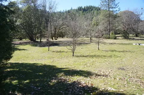 57 Senger, Junction City, CA 96048 photo 27