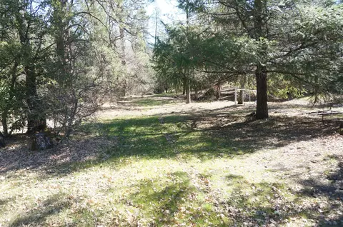 57 Senger, Junction City, CA 96048 photo 26