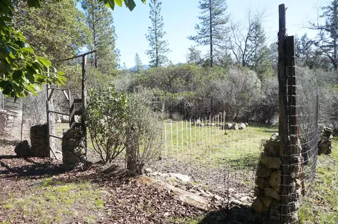 57 Senger, Junction City, CA 96048 photo 24