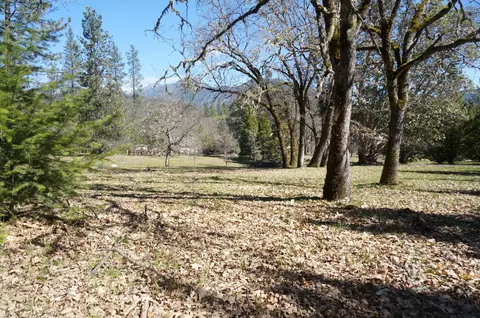 57 Senger, Junction City, CA 96048 photo 29