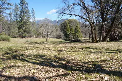 57 Senger, Junction City, CA 96048 photo 28