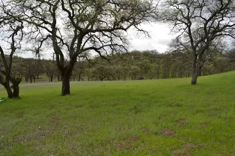20160 Niche, Red Bluff, CA 96080 photo 27