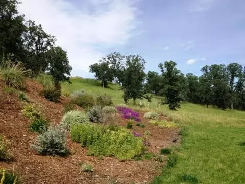 20160 Niche, Red Bluff, CA 96080 photo 31