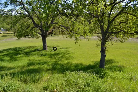 20160 Niche, Red Bluff, CA 96080 photo 30