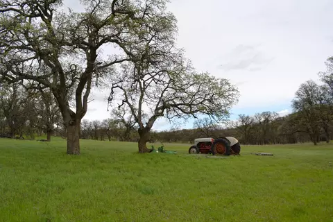 20160 Niche, Red Bluff, CA 96080 photo 4
