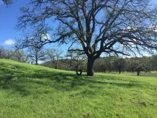 20160 Niche, Red Bluff, CA 96080 photo 29