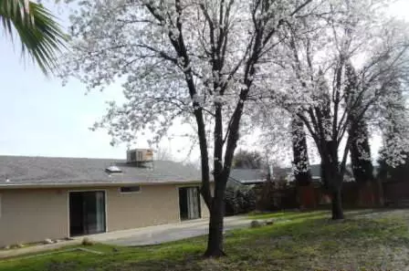 6910 Yvonne Ct, Redding, CA 96001 photo 15