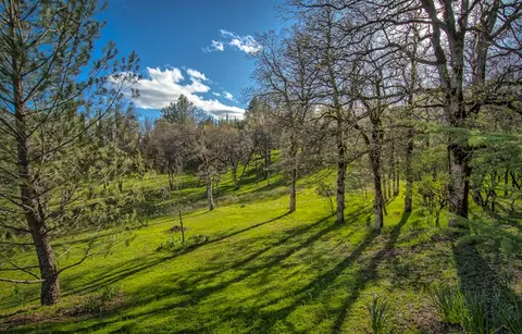 12771 Encanto Way, Redding, CA 96003 photo 29