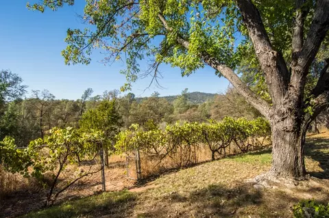 15945 Frontiersman Dr, Redding, CA 96001 photo 33