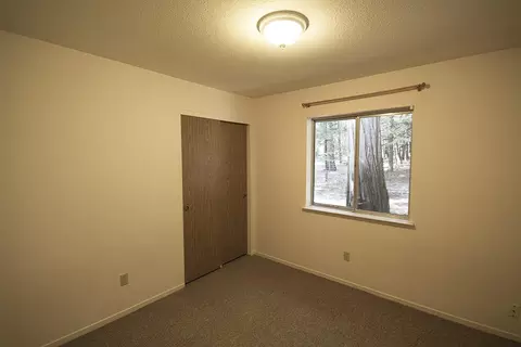 8095 Star Trek Dr, Shingletown, CA 96088 photo 12