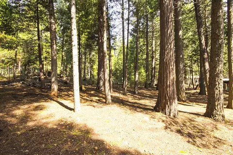 8095 Star Trek Dr, Shingletown, CA 96088 photo 19