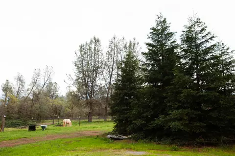 20277 Portero Dr, Redding, CA 96003 photo 34