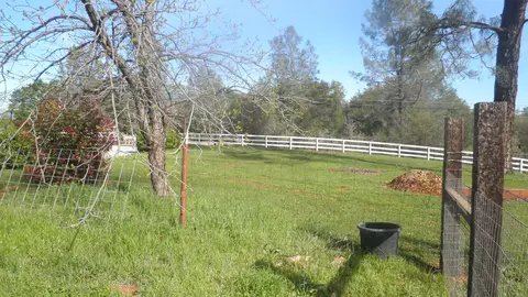 20277 Portero Dr, Redding, CA 96003 photo 48