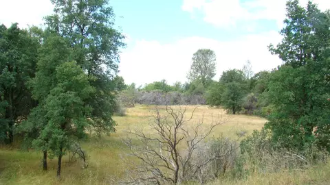 1335 Hope Ln, Redding, CA 96003 photo 1