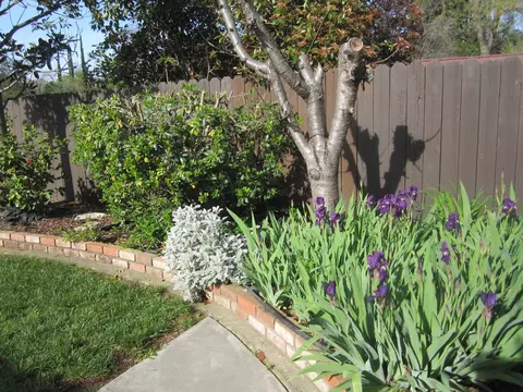 3618 Eagle, Redding, CA 96001 photo 25
