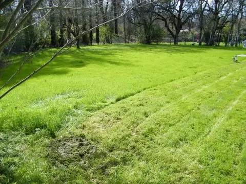 5020 Texas Springs Rd, Redding, CA 96001 photo 15
