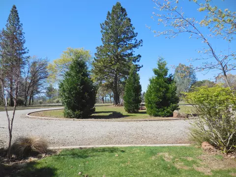 32301 Battleview Dr, Manton, CA 96059 photo 45