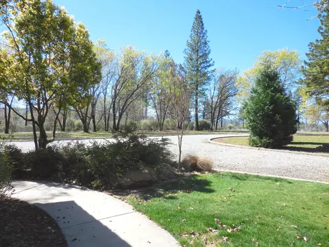 32301 Battleview Dr, Manton, CA 96059 photo 14
