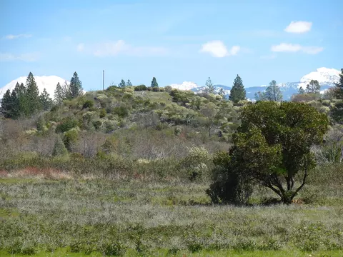 32301 Battleview Dr, Manton, CA 96059 photo 13