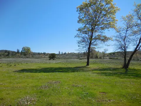 32301 Battleview Dr, Manton, CA 96059 photo 3