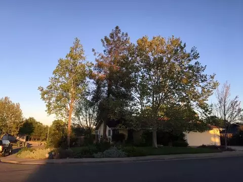 115 Danbury Dr, Redding, CA 96003 photo 3