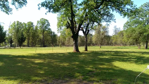 11338 Easy St, Redding, CA 96003 photo 50
