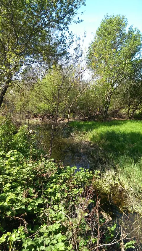 11338 Easy St, Redding, CA 96003 photo 47