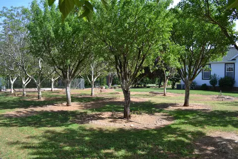 11305 Old Oregon Trl, Redding, CA 96003 photo 30