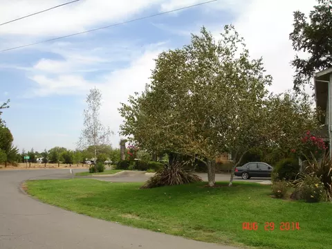 1070 Lakeside Dr, Red Bluff, CA 96080 photo 13