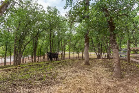 22081 Rustic Oak Ln, Palo Cedro, CA 96073 photo 39