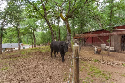 22081 Rustic Oak Ln, Palo Cedro, CA 96073 photo 37