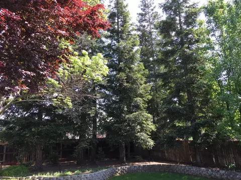 3411 Woodbury Dr, Redding, CA 96002 photo 56
