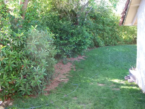 3909 Travona St, Redding, CA 96001 photo 3