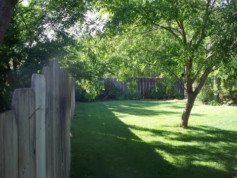 3909 Travona St, Redding, CA 96001 photo 5