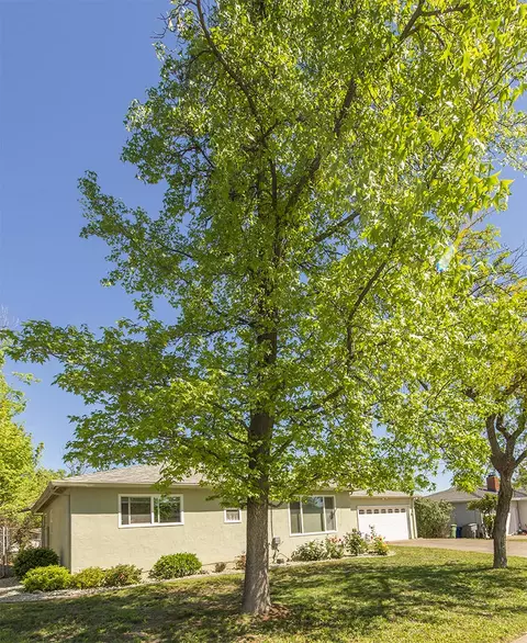 2494 Hawn Ave, Redding, CA 96002 photo 18