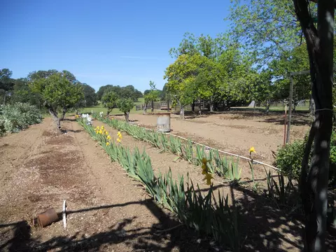 18750 Red Bank Rd, Red Bluff, CA 96080 photo 3