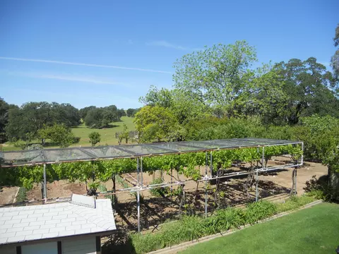 18750 Red Bank Rd, Red Bluff, CA 96080 photo 57