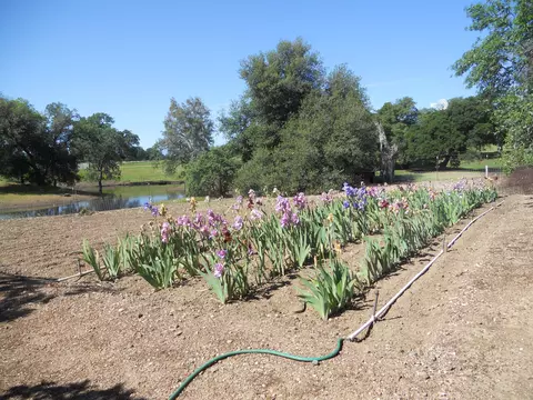 18750 Red Bank Rd, Red Bluff, CA 96080 photo 53